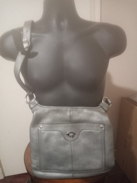 Coach Handbags - Coach Penelope Leather Snakeskin Trim Crossbody Bag F16533 Preloved Gray